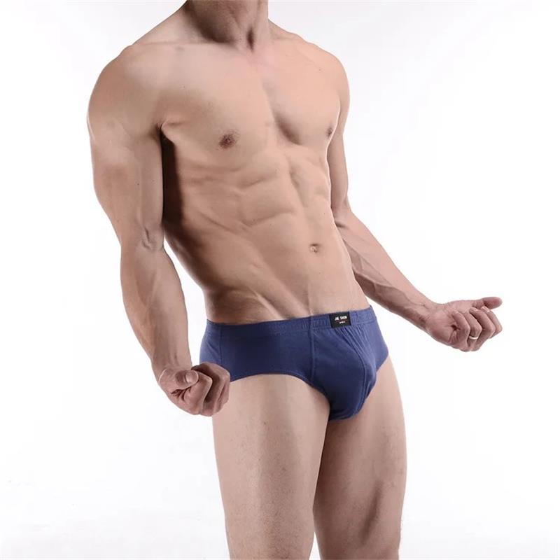 6 uds/ropa interior para hombr - Boxer Brief Pack Cotton reseña y precio
